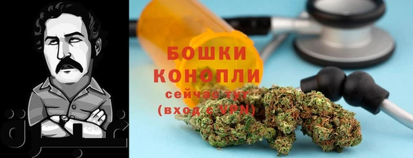 гидра Гусев