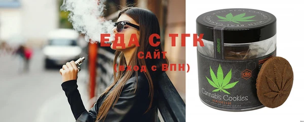 гидра Гусев