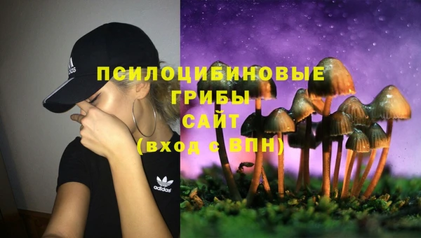 синтетический гашиш Дмитровск
