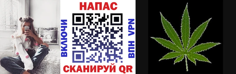 Купить где Далматово Бошки Шишки VHQ